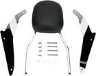 02-5101 Cobra Sissy Bar Std