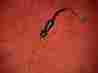 27010-1093 27011-021 Kawasaki Gpz Zx750 Rear Brake Lite Switch Assy Spring