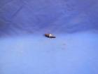 Pp389 3960 Garelli Stop Switch Nos