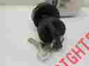 4011002 Polaris 3 Position Key Switch Sportsman Scrambler Magnum Ranger Etc