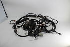 70245-00 Harley Davidson Road King Main Engine Harness Ignition