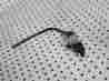 90300075 Harley Davidson Street Oem Ignition Switch Key With Fork Lock