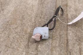 35300-129-670 Honda 1974 Qa50 Bar Switch / Control Kill