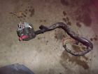 Horn Kz700 Left Kawasaki Switch Turn Lights 1984