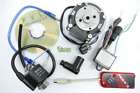 Pvl00131587 Pvl Coil Free Programable Complete System Cdi Software Cd St