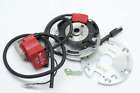 Sel00131461 Selettra Kz Complete Analog Ignition For Suzuki Rm Pvl