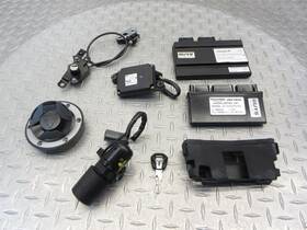 2505562-02 Triumph 2022 20-22 Tiger 900 Rally Pro Lockset Ignition Cdi Chassic Control