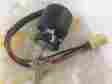 37110-25319 Ts185 Suzuki Tc100 Tc125 Ts125 Ts250 Rv90 Rv125 Sp370 Ignition Switch Nos