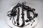 2016 13-16 Triumph Street Triple Oem Main Engine Wiring Harness Loom Wires. Fixed Price $35.36.