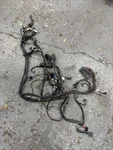 2000 Harley Davidson Road King Injected Main Wiring Harness Used 70245-00. Fixed Price $79.95.