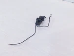 Harley Davidson Sportster 883 & 1200 Vacuum Intake Line Voes Map Air Sensor. Fixed Price $39.99.