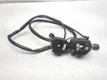 17-19 Triumph Tiger 800 Xcx Front Left & Right Handlebar Switch Set. Fixed Price $227.83.
