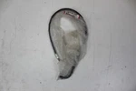 Honda CBR900RR Fireblade 2000-2001 Oem Throttle Cable 17910-MCJ-000 17910MCJ000. Fixed Price $18.95.