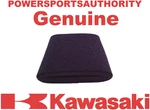 2008-2012 Kawasaki Teryx 750 Le Sge 4X4 Oem Air Filter 11013-0018. Fixed Price $16.99.