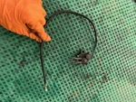 08 Kawasaki Ninja 250R Kick Stand Switch Sensor EX250. Fixed Price $20.00.