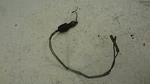 1966 Honda Scrambler H756 Rear Brake Switch. Fixed Price $32.45.