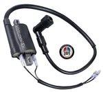 Ignition Coil 6V For Kawasaki KE100KE125 G4TR G5 G7 KD100 KD125 KM100 KS125 MC1. Fixed Price $18.99.
