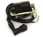 Ignition Coil With Spark Plug Cap 30530-102-780 Honda CT90 CM91 Trail. Fixed Price $27.95.