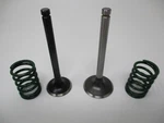 Genuine Kawasaki 12004-7004 12005-7013 FJ400D Intake & Exhaust Valves Springs. Fixed Price $55.99.