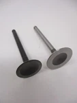 Genuine Kawasaki 12004-7004 12005-7013 Intake & Exhaust Valves FJ400 Ezgo. Fixed Price $49.99.