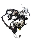 21 Harley Davidson RH1250 Sportster Main Wiring Wire Harness Loom *cut*. Fixed Price $155.00.