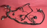 Main Engine Wiring Harness 2000 Harley Sportster Custom XLH1200C 3346. Fixed Price $218.49.