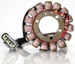 Ricks Electric Stator 21-425. Fixed Price $197.95.