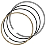 Caltric 13008-0028 Piston Rings For Kawasaki KX250F 2004-2019. Fixed Price $15.00.