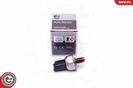 Esen 17SKV598 Sensor, Fuel Pressure Dacia,ford,nissan,renault,suzuki. Fixed Price $45.16.
