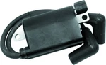 Golf Cart Ignition Coil EPIGC104. Fixed Price $58.99.