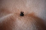 Nos Oem Harley Davidson Switch Hole Plug Pn 71559-73. Fixed Price $10.00.