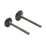 Kawasaki KAF400 Mule 600 610 Sx Intake Exhaust Valve Set. Fixed Price $29.95.