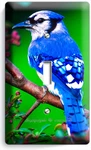 Blue Jay North American Bird On Tree 1 Gang Light Switch Wall Plate Room Decor. Fixed Price $19.99.