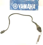 01-05 Yamaha Raptor Oem Rear Brake Light Switch Sensor &harness. Fixed Price $34.99.
