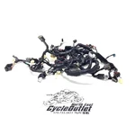 16-17 Abs * ZX10RR 17-18 Main Engine Wiring Harness Motor Wire. Fixed Price $159.96.