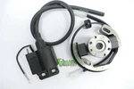 Selettra Ignition For Ktm Sx 50 Coil Stator With Longhole Rotor 36 Mm R2904. Fixed Price $246.29.