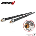 Andreani Misano Evo Fork Cartridges Harley Davidson Softail Deluxe 2005. Fixed Price $590.00.