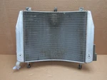 Yamaha Fjr 1300 Ae 2020 Radiator (15686). Fixed Price $269.45.