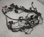 Main Wire Harness (type 2) Wiring Loom 23-25 Triumph Street Triple 765 Rs MOTO2. Fixed Price $109.90.