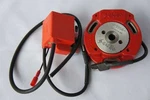 P3356 Selettra Ignition For Gm Speedway Engine Peter Johns Pjr Like Malossi Race. Fixed Price $256.60.