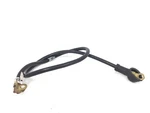 Triumph Sprint 1050 Gt Street Triple Oem Starter Lead Wire Black T2501605. Fixed Price $19.99.