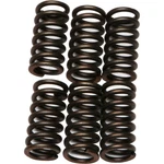 Ebc Brakes Clutch Springs CSK9. Fixed Price $18.30.