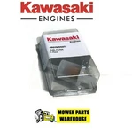 New Genuine Oem Kawasaki Fuel Filter 49019-0027 Replaces 49019-7001 49019-0014. Fixed Price $11.45.