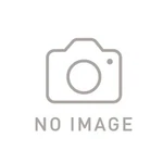 92057-1364 Kawasaki CHAIN,REVERSE,81RH252 920571364, New Genuine Oem Part. Fixed Price $68.40.