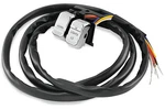 Twin Power Dimmer/horn Switch - Chrome 25873DA. Fixed Price $55.24.