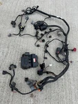2009-2012 ZX6R 600 Kawasaki Ninja Main Wiring Harness Cdi Ignitor Box Ecu. Fixed Price $474.25.