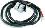 Twin Power Dimmer/horn Switch Chrome 25873DA. Fixed Price $56.99.
