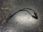 1980 Kawasaki Original Rear Brake Light Switch Stop Signal Wires. Fixed Price $19.99.