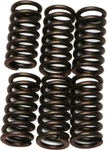 Ebc Clutch Spring Kit CSK9. Fixed Price $12.33.