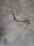81-2003 Honda Nighthawk Rear Brake Stop Switch W/ Spring CB450SC Oem 1982. Fixed Price $8.00.